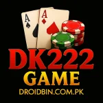 DK222 Game Logo