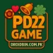 PD222 Game Logo