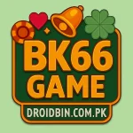 BK 66 Game Logo