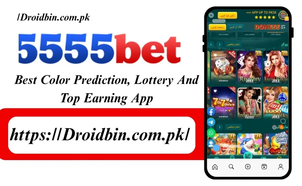 5555Bet Game Interface