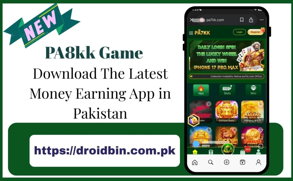 PA8kkGame Interface