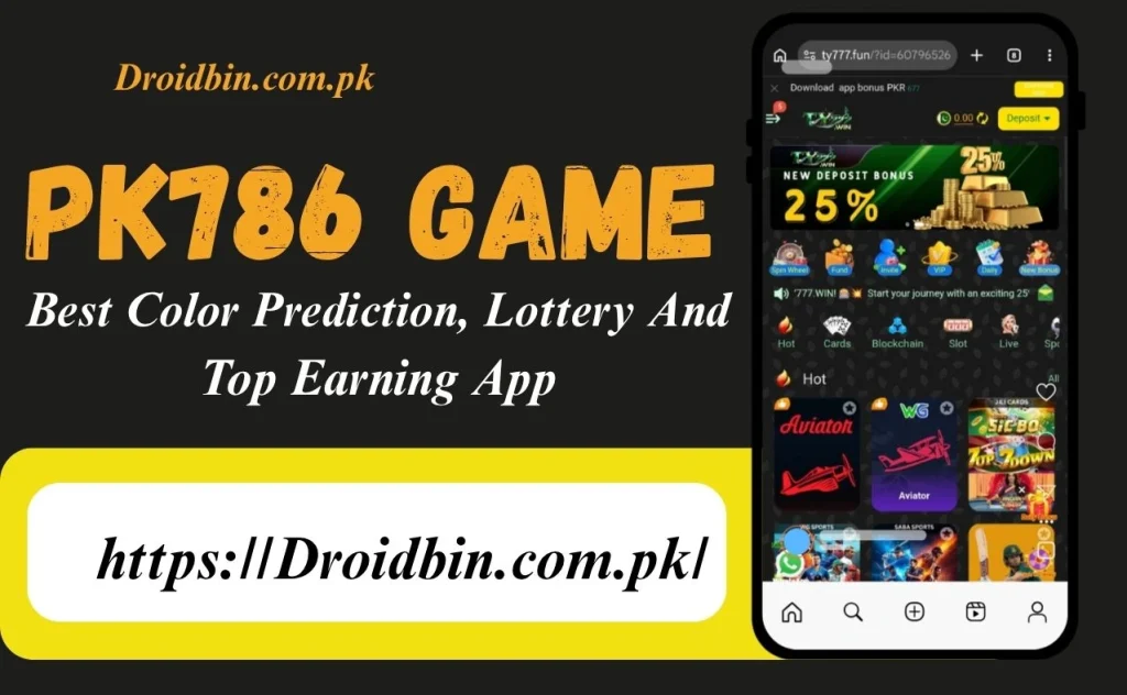 PK786 game Interface