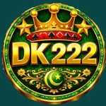DK222 Game Logo