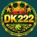 DK222 Game Logo