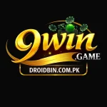 9Win Game Logo