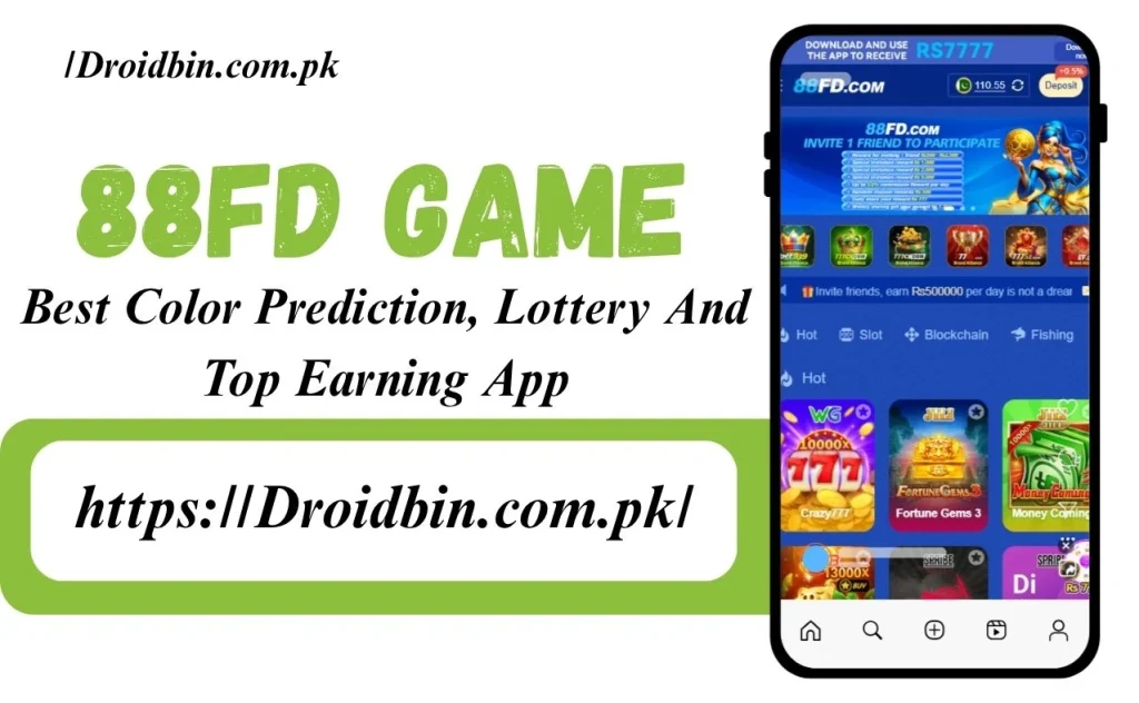 88DF Game Interface