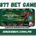 877 Bet Game Earning Opportunities