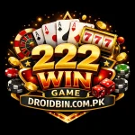 222Win Game Logo