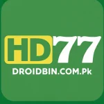 HD77 Game Logo