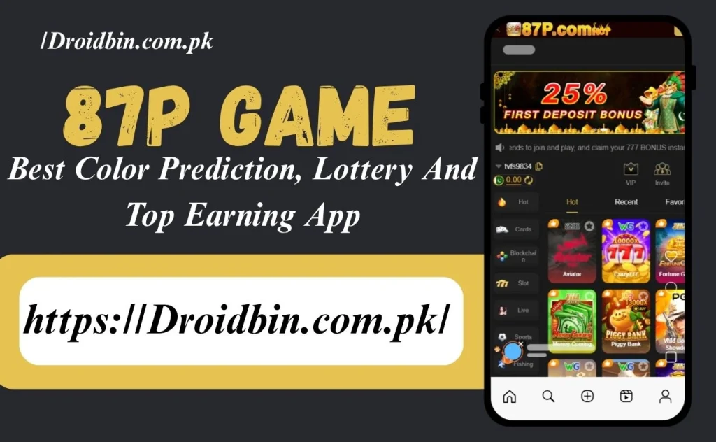 87P Game Interface
