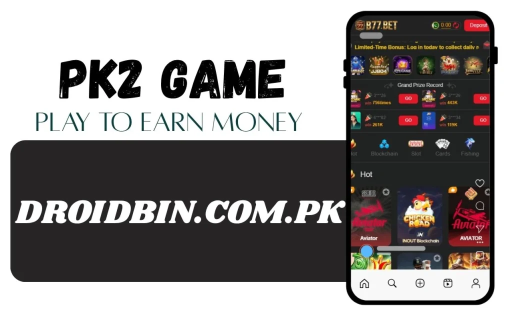 PK2 Game Interface Screenshot