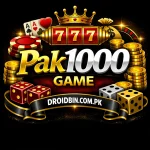 Pak1000 Game Logo
