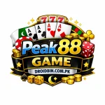 Peak88 Game Logo