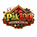 Pak100 Game Logo