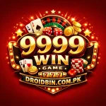 9999Win Game Logo