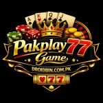 Pakplay77 Game Logo