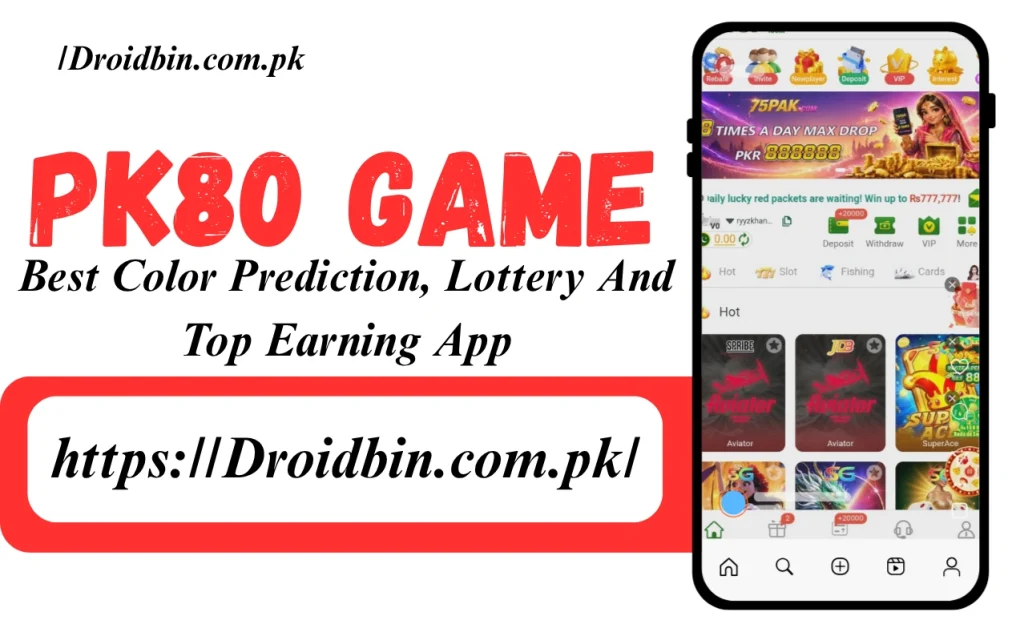 PK80 Game Interface