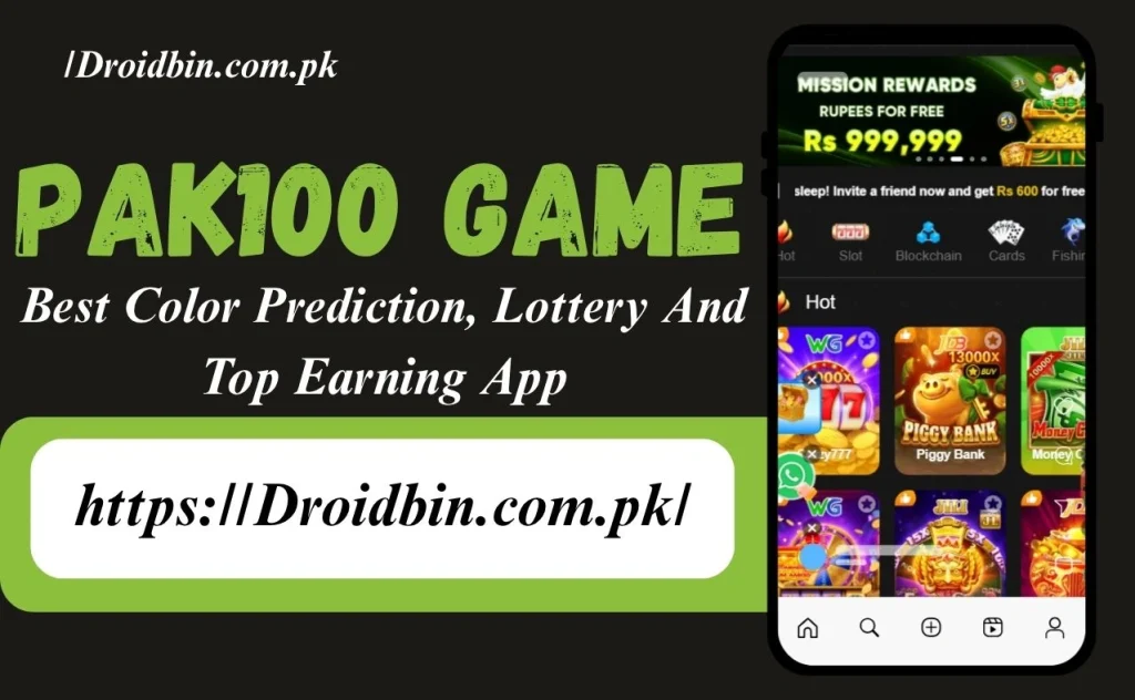 Pak100game Interface