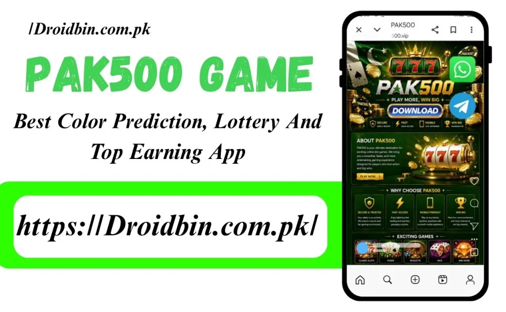 PAK500 Game interface