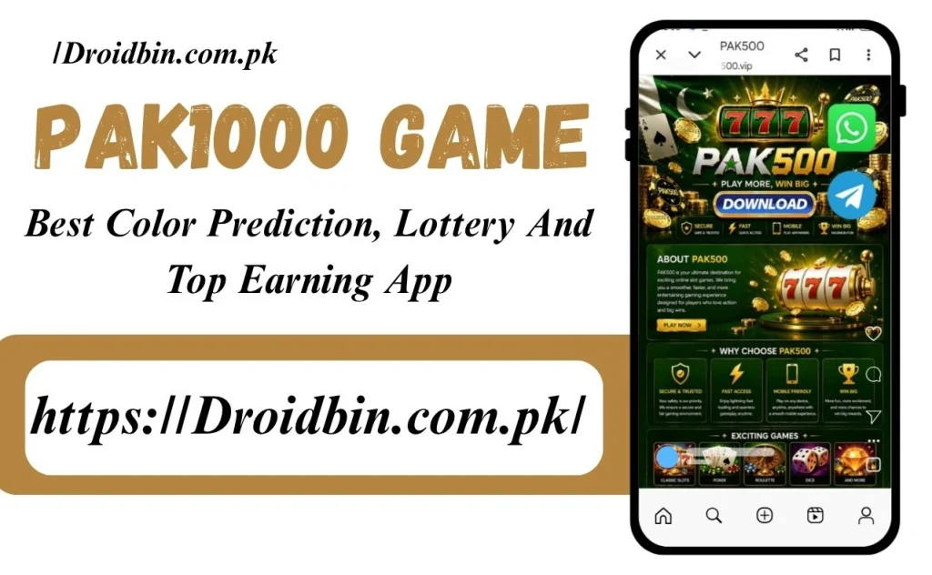 Pak1000 Game Interface