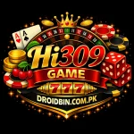 Hi 309 Game Logo