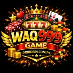 wAQ999 Game Logo