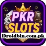 PKRspin Game