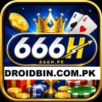 666H Game