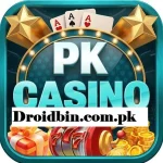 PK Casino Game - A Complete Guide to Online Gaming Trends in Pakistan