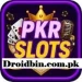 PKRspin Game